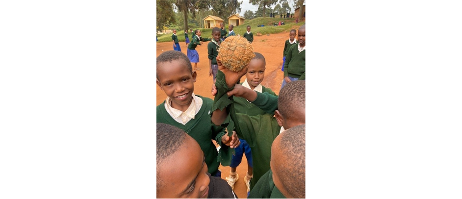 Gear Drive for Tanzania